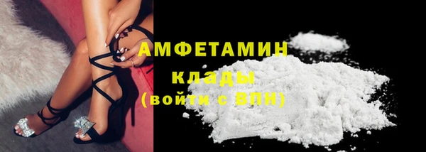 молекула духа Алексеевка