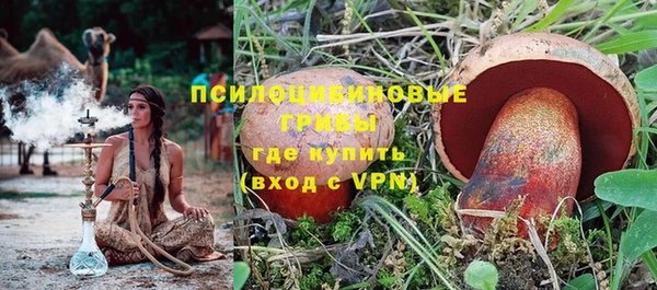 PSILOCYBIN Алексин