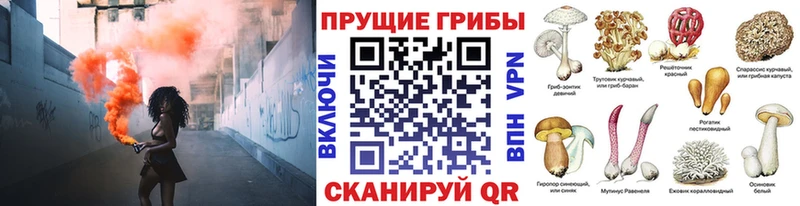 площадка наркотические препараты  наркотики  Межгорье  Псилоцибиновые грибы GOLDEN TEACHER 